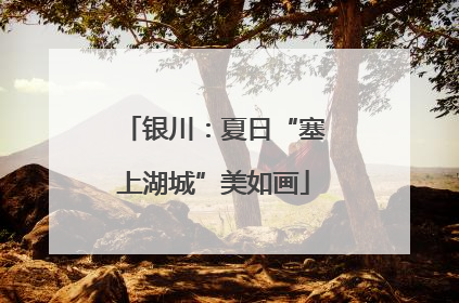 银川：夏日“塞上湖城”美如画