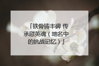 铁骨铸丰碑 传承慰英魂（地名中的抗战记忆）