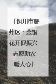 铜川市耀州区：金银花开促振兴 志愿助农暖人心