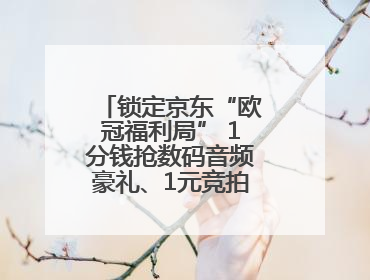 锁定京东“欧冠福利局” 1分钱抢数码音频豪礼、1元竞拍巨星亲签球衣