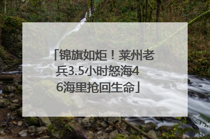 锦旗如炬！莱州老兵3.5小时怒海46海里抢回生命