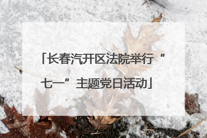 长春汽开区法院举行“七一”主题党日活动