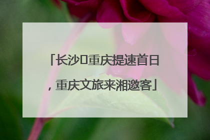 长沙⇌重庆提速首日，重庆文旅来湘邀客