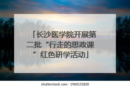 长沙医学院开展第二批“行走的思政课”红色研学活动