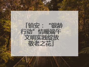 镇安：“银龄行动”情暖端午 文明实践绽放敬老之花