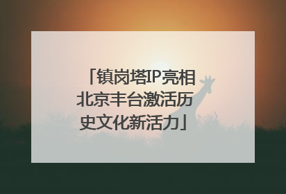 镇岗塔IP亮相 北京丰台激活历史文化新活力