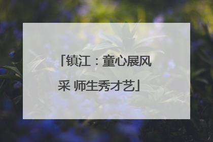 镇江：童心展风采 师生秀才艺