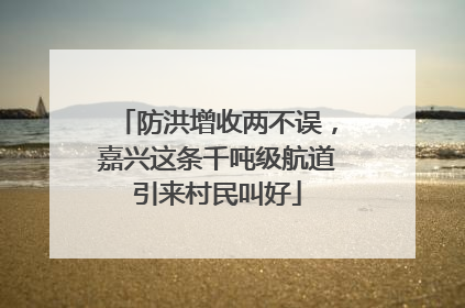 防洪增收两不误，嘉兴这条千吨级航道引来村民叫好