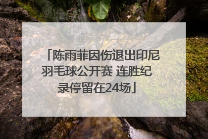 陈雨菲因伤退出印尼羽毛球公开赛 连胜纪录停留在24场
