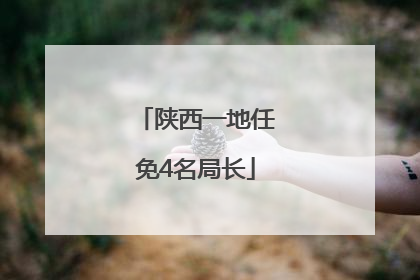 陕西一地任免4名局长