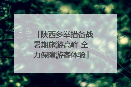 陕西多举措备战暑期旅游高峰 全力保障游客体验