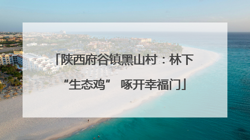 陕西府谷镇黑山村：林下“生态鸡” 啄开幸福门