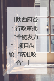 陕西府谷：行政审批“全链发力” 项目齿轮“精准咬合”