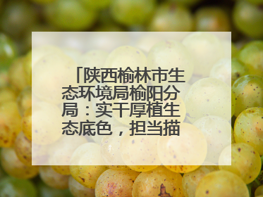 陕西榆林市生态环境局榆阳分局：实干厚植生态底色，担当描绘绿色答卷