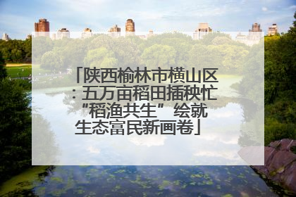 陕西榆林市横山区：五万亩稻田插秧忙 “稻渔共生”绘就生态富民新画卷