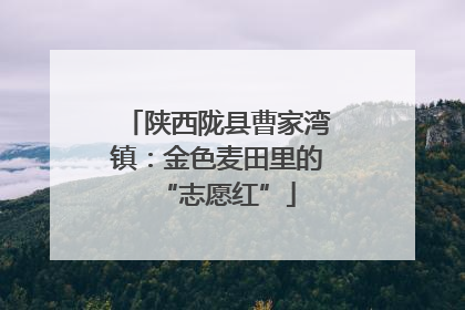 陕西陇县曹家湾镇：金色麦田里的“志愿红”