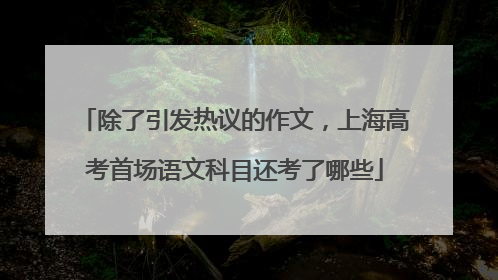 除了引发热议的作文，上海高考首场语文科目还考了哪些