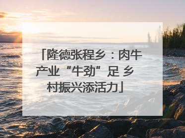 隆德张程乡：肉牛产业“牛劲”足 乡村振兴添活力
