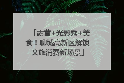 露营+光影秀+美食！聊城高新区解锁文旅消费新场景
