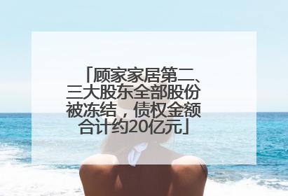 顾家家居第二、三大股东全部股份被冻结，债权金额合计约20亿元