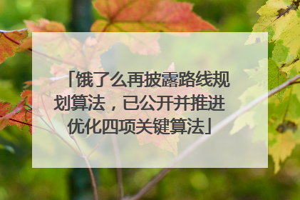 饿了么再披露路线规划算法，已公开并推进优化四项关键算法