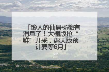 馋人的仙居杨梅有消息了！大棚版抢“鲜”开采，露天版预计要等6月