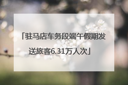 驻马店车务段端午假期发送旅客6.31万人次