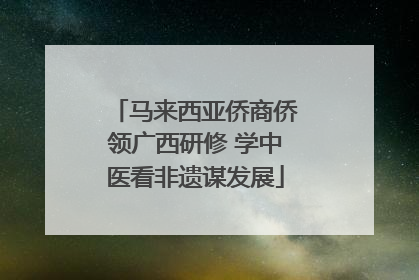 马来西亚侨商侨领广西研修 学中医看非遗谋发展