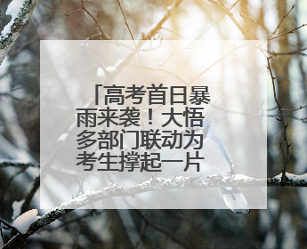 高考首日暴雨来袭！大悟多部门联动为考生撑起一片“晴空”