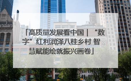 高质量发展看中国｜“数字”红利润泽八桂乡村 智慧赋能绘就振兴画卷