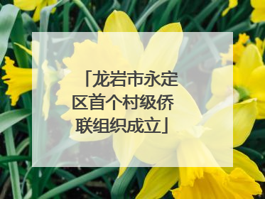 龙岩市永定区首个村级侨联组织成立