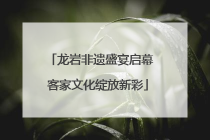 龙岩非遗盛宴启幕 客家文化绽放新彩