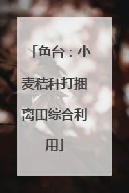 鱼台：小麦秸秆打捆离田综合利用