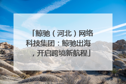 鲸驰（河北）网络科技集团：鲸驰出海，开启跨境新航程