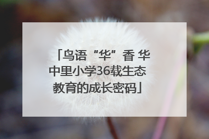 鸟语“华”香 华中里小学36载生态教育的成长密码