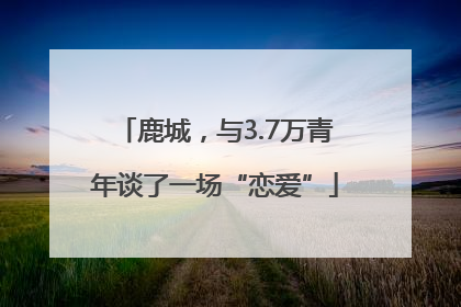 鹿城，与3.7万青年谈了一场“恋爱”