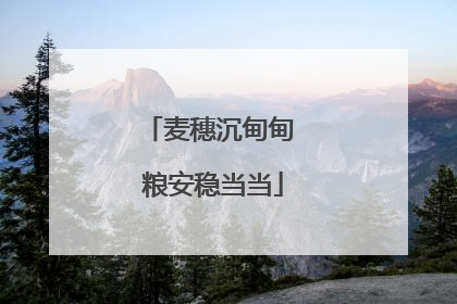 麦穗沉甸甸 粮安稳当当