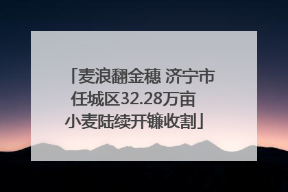 麦浪翻金穗 济宁市任城区32.28万亩小麦陆续开镰收割