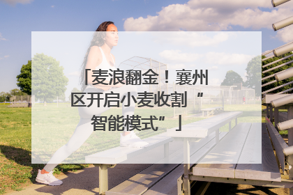 麦浪翻金！襄州区开启小麦收割“智能模式”