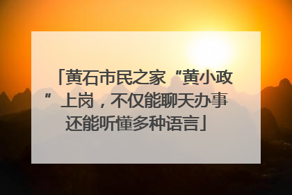 黄石市民之家“黄小政”上岗，不仅能聊天办事还能听懂多种语言