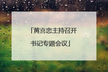 黄喜忠主持召开书记专题会议