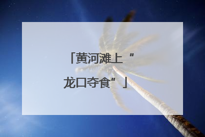 黄河滩上“龙口夺食”