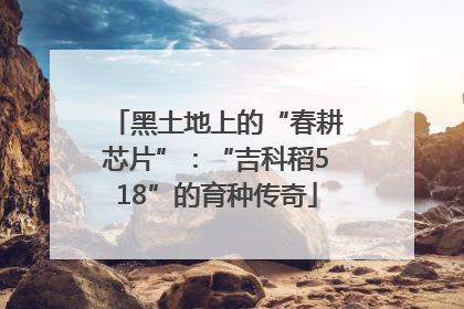 黑土地上的“春耕芯片”：“吉科稻518”的育种传奇