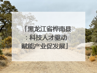 黑龙江省桦南县：科技人才驱动 赋能产业促发展