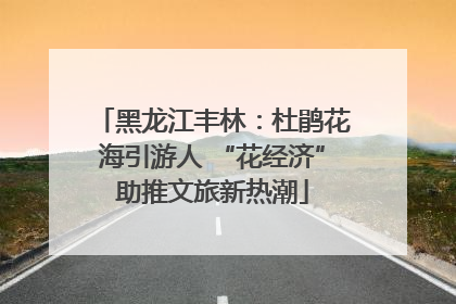 黑龙江丰林：杜鹃花海引游人 “花经济”助推文旅新热潮