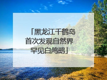 黑龙江千鹤岛首次发现自然界罕见白鸬鹚