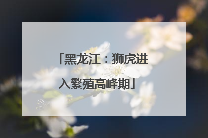 黑龙江：狮虎进入繁殖高峰期