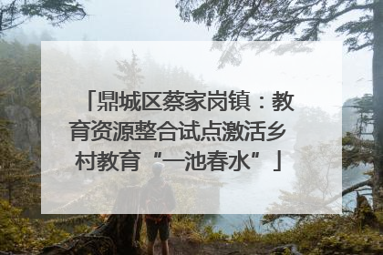 鼎城区蔡家岗镇：教育资源整合试点激活乡村教育“一池春水”