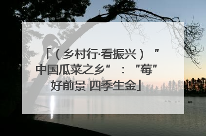（乡村行·看振兴）“中国瓜菜之乡”：“莓”好前景 四季生金