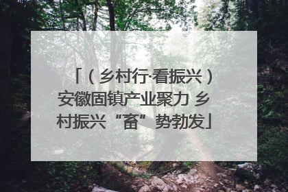 （乡村行·看振兴）安徽固镇产业聚力 乡村振兴“畜”势勃发